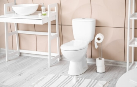 Blog post: De Evolutie van het Toilet: Van Wandtoiletten tot Slimme Toiletten