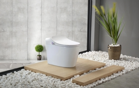 Blog post: Hoe Kies Je het Juiste Smart Toilet voor Jouw Behoeften?